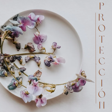 Ritual de Protección